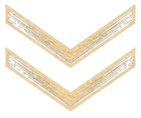 Seta
